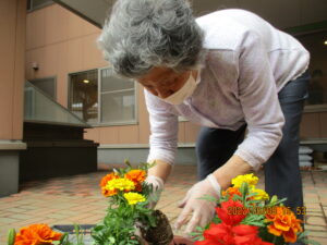 花植え