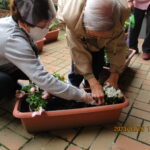 花植え