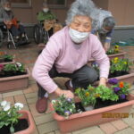 花植え